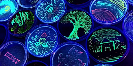 Painting with Microbes: ASM Agar Art Contest