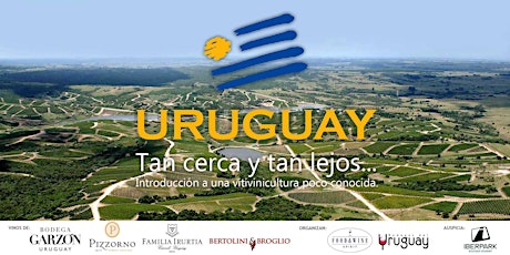 Imagen principal de Vinos de Uruguay - Tan cerca y tan lejos