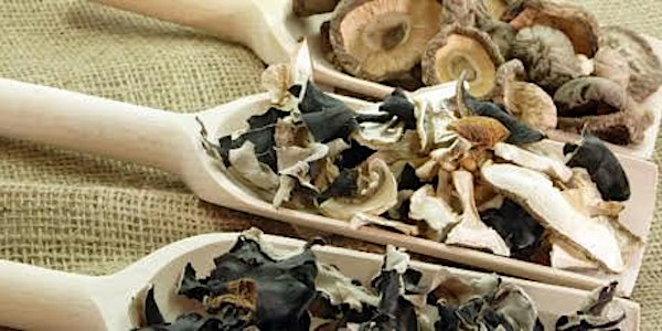 Mycology Medicine Making - 2018
