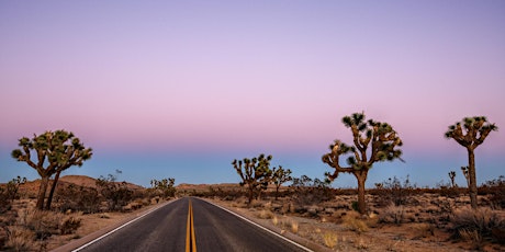 The Antelope Valley: Over the Hill From LA But Out of Sight - Los Angeles primary image