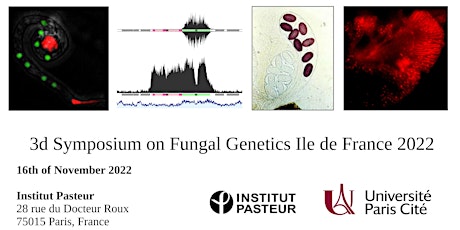 3d Symposium on Fungal Genetics Ile de France 2022