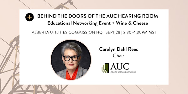 Behind the Doors of the AUC Hearing Room with Carolyn Dahl Rees
