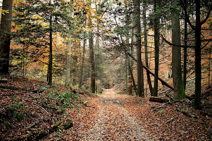 Nature Hour: The History and Health of Pennsylvania's Woods image