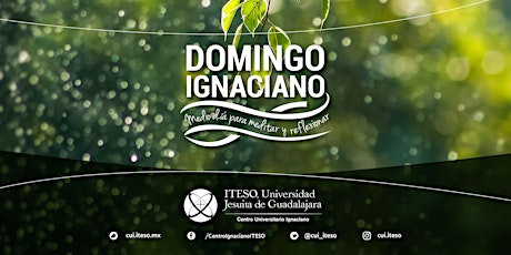 Domingo Ignaciano - Conocer los afectos desordenados- EN LINEA