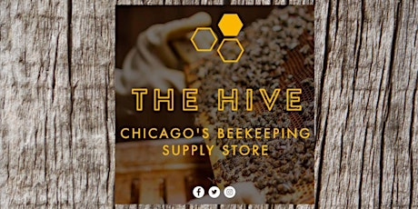 Beekeeping 101, learn the basics of bees and beekeeping in Chicago.