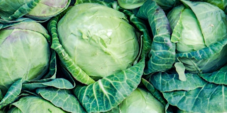 VIRTUAL:  Budget Friendly Foods- Cabbages