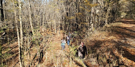 2nd Annual Black Friday Turkey Burn-off/Hike Along the Wolf River
