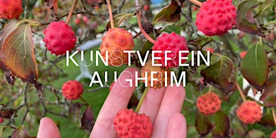 Launch of Kunstverein Aughrim