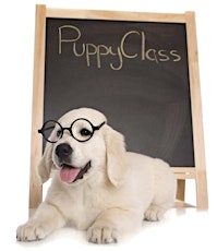 Training Class - Great Beginnings Puppy Class primary image