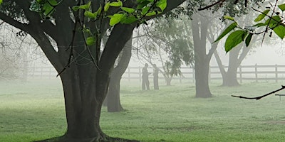 Imagen principal de Tai Chi and Qiqong exercise in Deepwater Park in Milperra (Outdoors, Free)