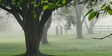 Tai Chi and Qiqong exercise in Deepwater Park in Milperra (Outdoors, Free)