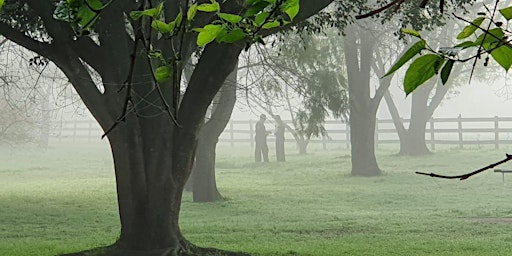 Imagem principal de Tai Chi and Qiqong exercise in Deepwater Park in Milperra (Outdoors, Free)