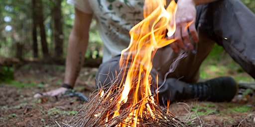 Wilderness Survival 1: Introduction to Nature primary image