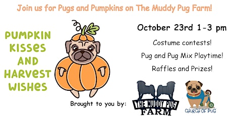 Pugs and Pumpkins on The Muddy Pug Farm & Sanctuary!