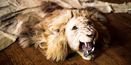 Image principale de Halting imports of Hunting Trophies