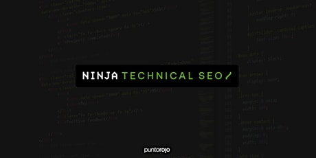 Immagine principale di Ninja Technical SEO | puntorojo 