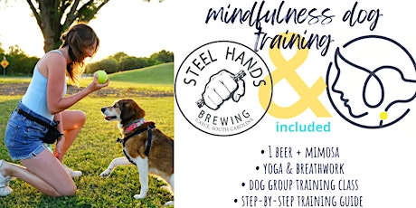 Steel Hands Mindfulness Dog  Class