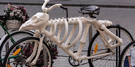 Spooky Spokes Senior Ride with Metro Bike Share