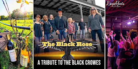 Black Crows covered by Black Rose and Great Texas Wine!!!