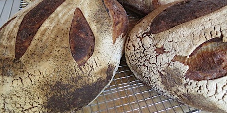 Livestream: Sourdough 101 Part 1 with Brot Bakehouse: Starter Cultures