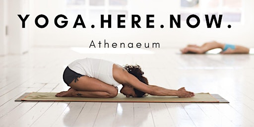 Primaire afbeelding van Yoga.Here.Now. Athenaeum