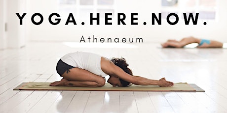 Yoga.Here.Now. Athenaeum