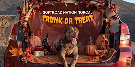 Registration: Halloween Trunk Or Treat  - Softroad Nation NorCal