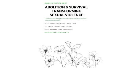 Abolition & Survival: Transforming Sexual Violence primary image