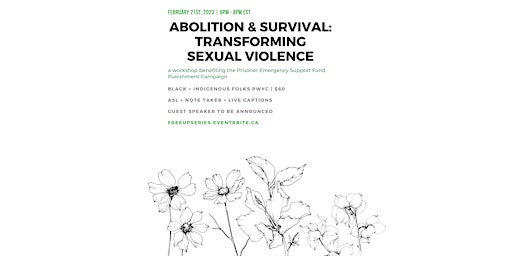 Abolition & Survival: Transforming Sexual Violence