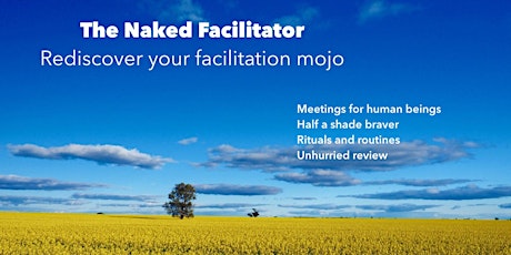 The Naked Facilitator - Series 21 primary image