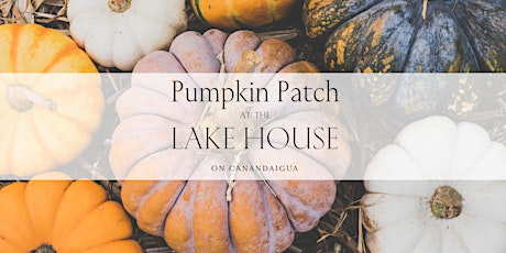 Pumpkin Patch at The Lake House