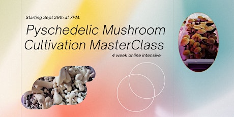 Psychedelic Mushroom Cultivation Masterclass