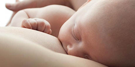 Baby Steps to Breastfeeding primary image
