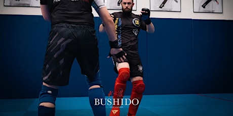 Imagen principal de Bushido Contenders Amateur MMA