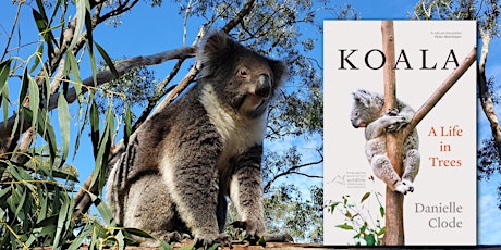 Book Launch for Koala: A Life in Trees