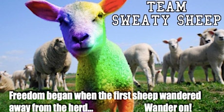 Donate to Sweaty Sheep!