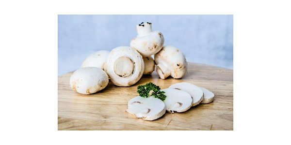 Medicinal and Gourmet Mushroom Cultivation