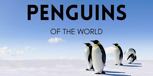 Imagem principal de Penguins of the World