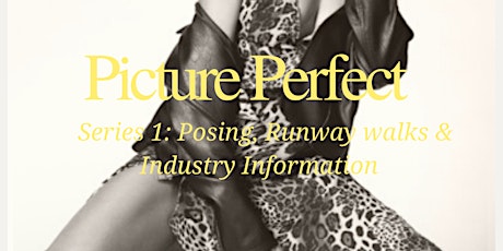 Picture Perfect: Series 1 Pose, Runway walks & Industry Info