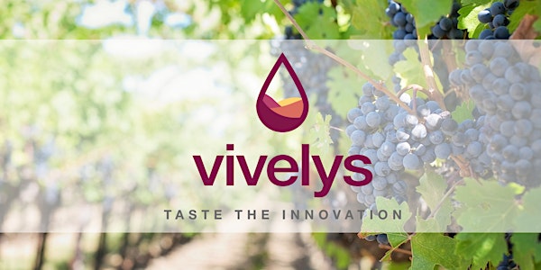 Vivelys: Oportunidad de crecimiento para los vinos argentinos (Mercado USA)