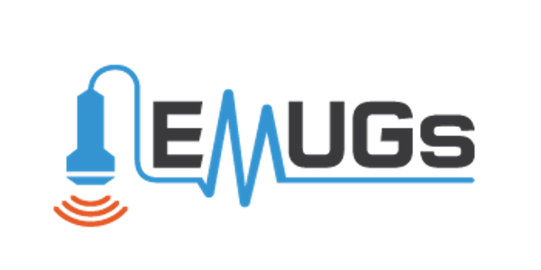 Emergency Medicine Ultrasound Group NZ: Clinical Leaders Network Meeting Fo...
