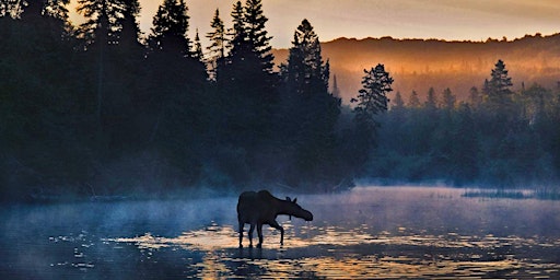 Imagem principal do evento Road-trip to Northeast: Voyageurs, Isle Royale National Parks, moder. hikes