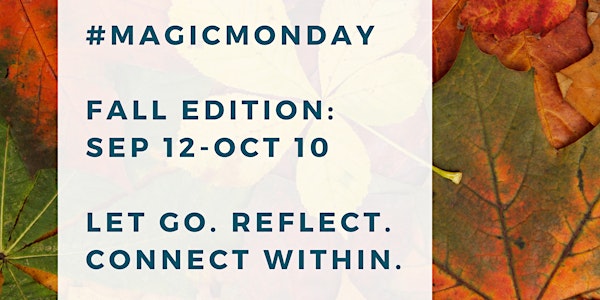 #magicmonday | Coaching, Mindfulness, Meditation