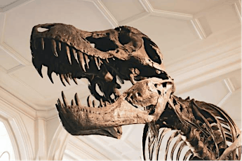 Hong Kong’s largest dinosaur exhibition
