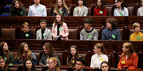 Young People's Inclusion in Public Policy-making: Portugal, UK & Ireland
