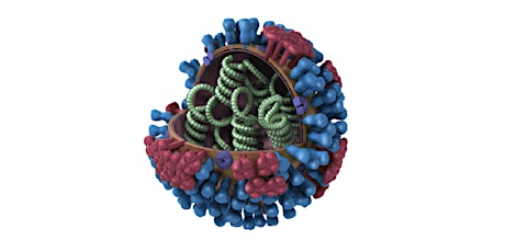 Got Flu? 2017 Health Sciences Influenza Lecture primary image