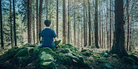 Introduction to Forest Bathing