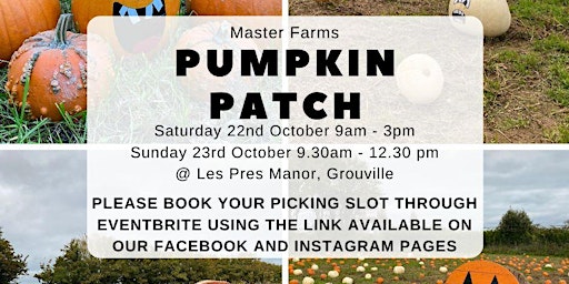 Master Farms’ Pumpkin Patch