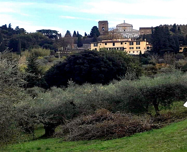 Immagine Firenze segreta: Arcetri Urban hike
