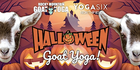 Halloween Baby Goat Yoga - October 29th (YOGA SIX - NORTHFIELD)